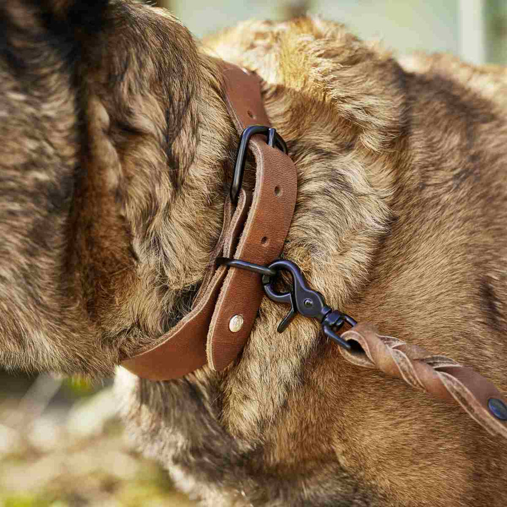 Hundeleine aus Leder in mokka, Lederleine braun